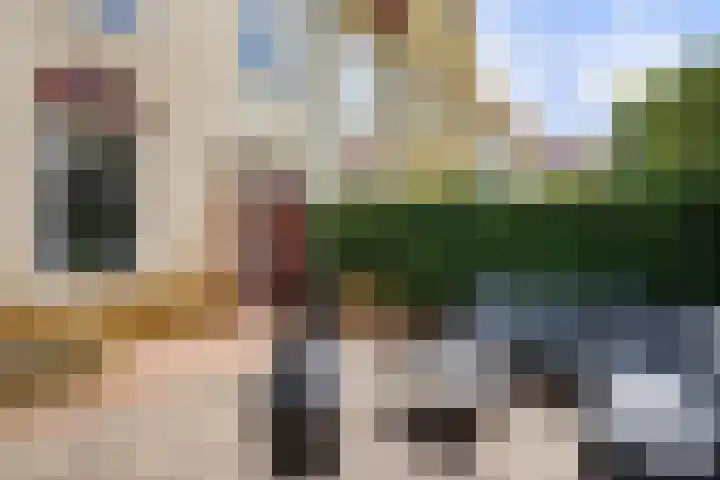 Schelfhoutstraat 1 Den Haag thumbnail 28