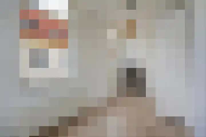 Schelfhoutstraat 1 Den Haag thumbnail 37