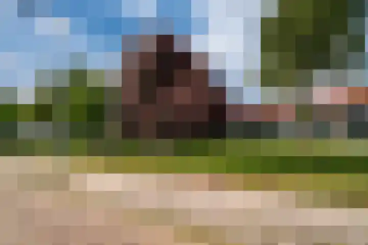 Schelfhoutstraat 11 Zevenaar thumbnail 6