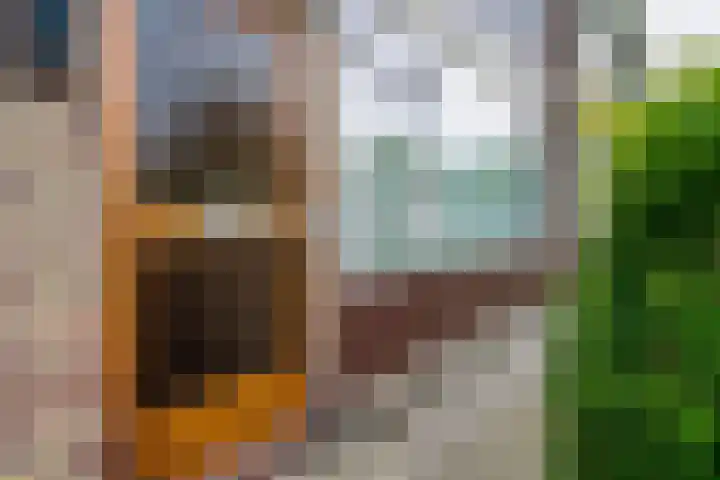 Schelfhoutstraat 11 Zevenaar thumbnail 8