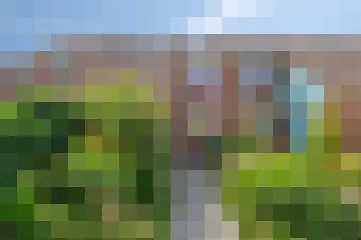 Schelfhoutstraat 16 Groningen thumbnail 10