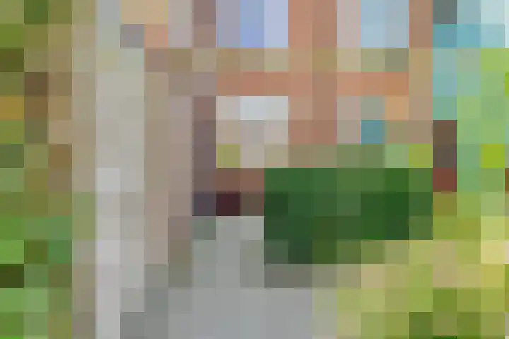 Schelfhoutstraat 16 Groningen thumbnail 12