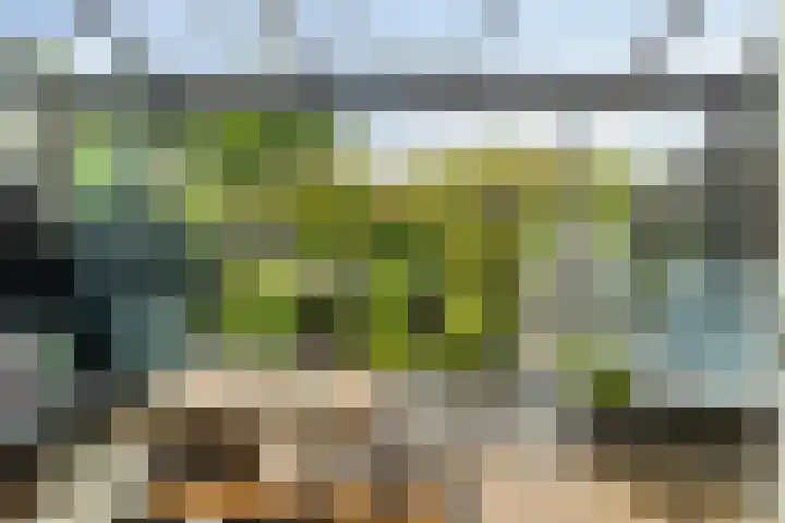Schelfhoutstraat 16 Groningen thumbnail 22