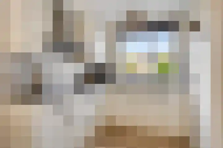 Schelfhoutstraat 16 Groningen thumbnail 33