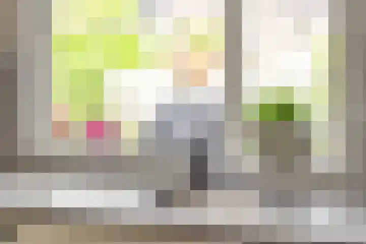 Schelfhoutstraat 16 Groningen thumbnail 34