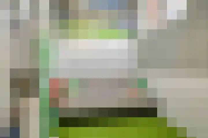 Schelfhoutstraat 16 Groningen thumbnail 37