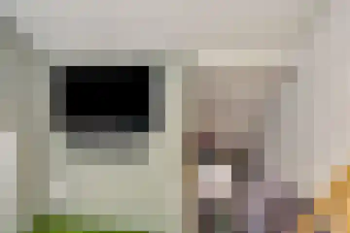 Schelfhoutstraat 16 Groningen thumbnail 38