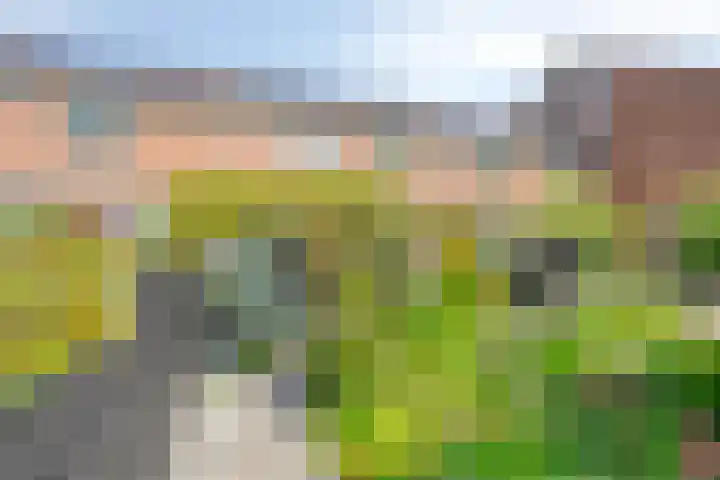 Schelfhoutstraat 16 Groningen thumbnail 8