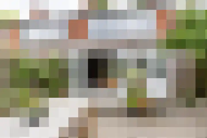 Schelfhoutstraat 5 Groningen thumbnail 11