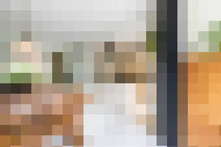 Schelfhoutstraat 5 Groningen thumbnail 12