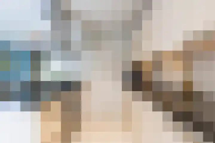 Schelfhoutstraat 5 Groningen thumbnail 14