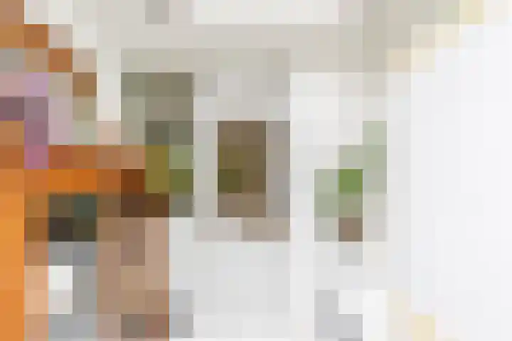 Schelfhoutstraat 5 Groningen thumbnail 18