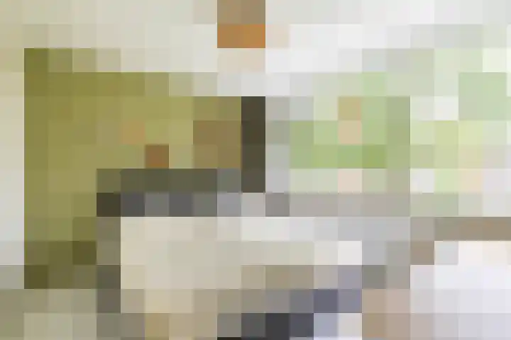 Schelfhoutstraat 5 Groningen thumbnail 22