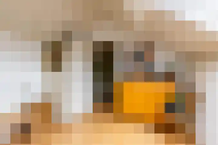 Schelfhoutstraat 5 Groningen thumbnail 25