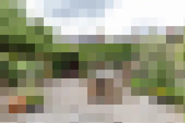 Schelfhoutstraat 5 Groningen thumbnail 26