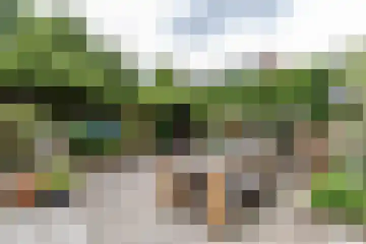Schelfhoutstraat 5 Groningen thumbnail 27