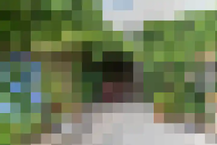 Schelfhoutstraat 5 Groningen thumbnail 28