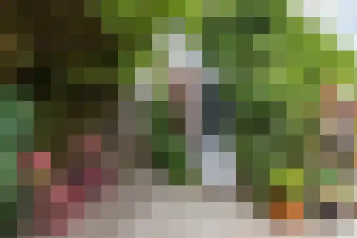Schelfhoutstraat 5 Groningen thumbnail 29