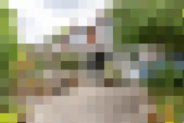 Schelfhoutstraat 5 Groningen thumbnail 30