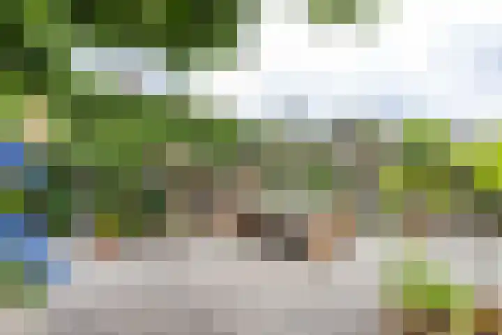 Schelfhoutstraat 5 Groningen thumbnail 31