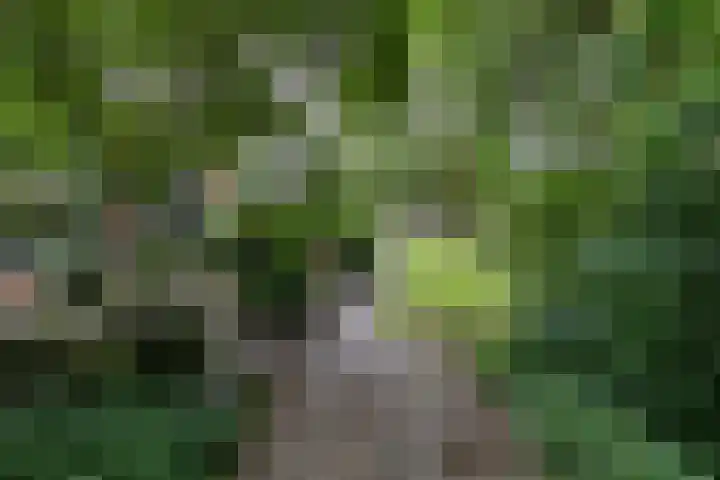 Schelfhoutstraat 5 Groningen thumbnail 32