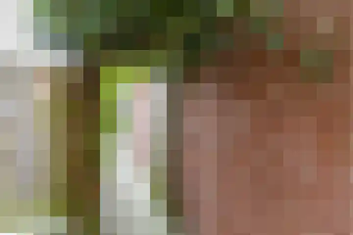 Schelfhoutstraat 5 Groningen thumbnail 33
