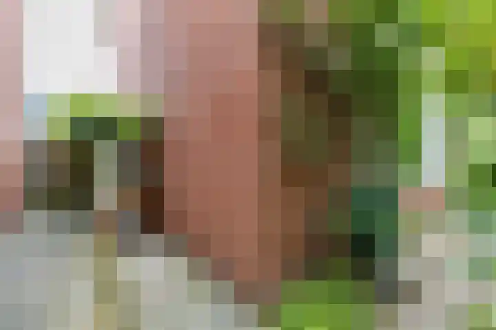 Schelfhoutstraat 5 Groningen thumbnail 34