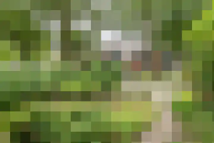 Schelfhoutstraat 5 Groningen thumbnail 35