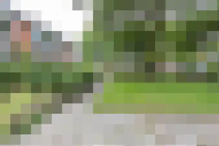Schelfhoutstraat 5 Groningen thumbnail 36