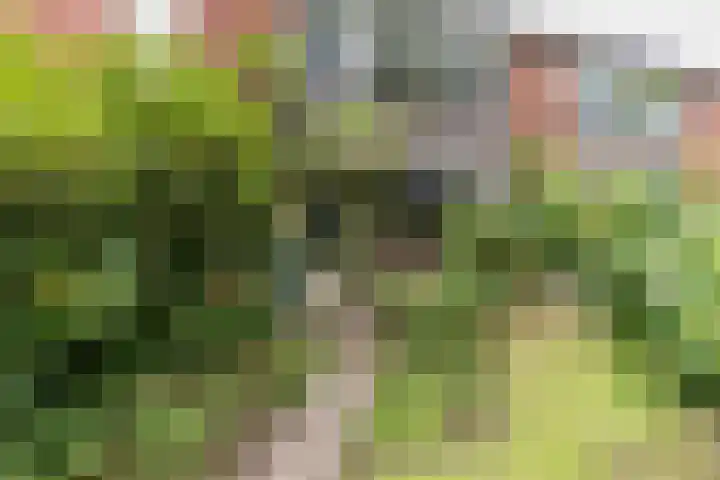 Schelfhoutstraat 5 Groningen thumbnail 37
