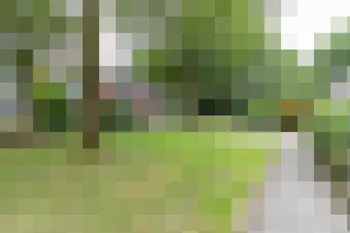 Schelfhoutstraat 5 Groningen thumbnail 39