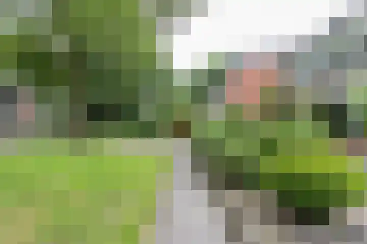 Schelfhoutstraat 5 Groningen thumbnail 40