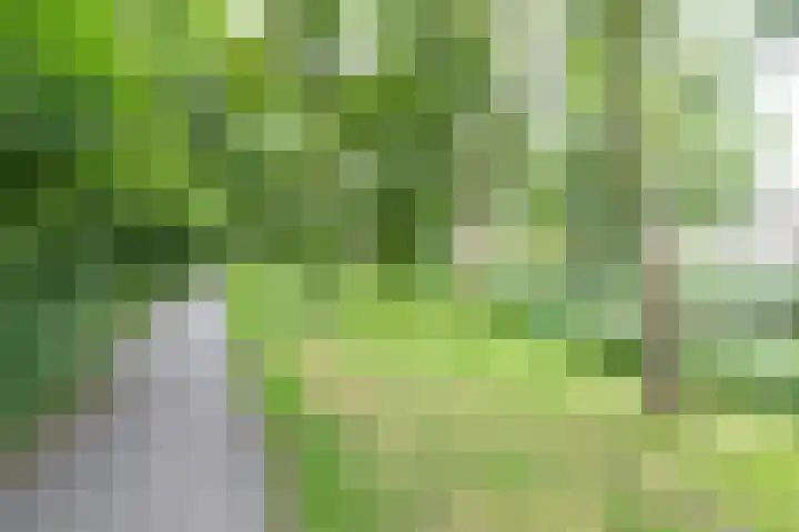 Schelfhoutstraat 5 Groningen thumbnail 41