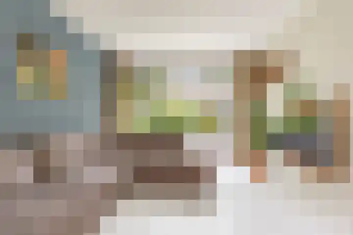 Schelfhoutstraat 5 Groningen thumbnail 5