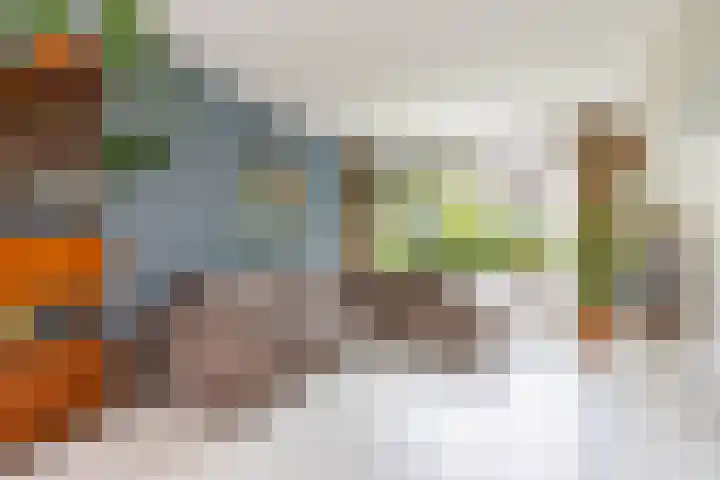Schelfhoutstraat 5 Groningen thumbnail 6