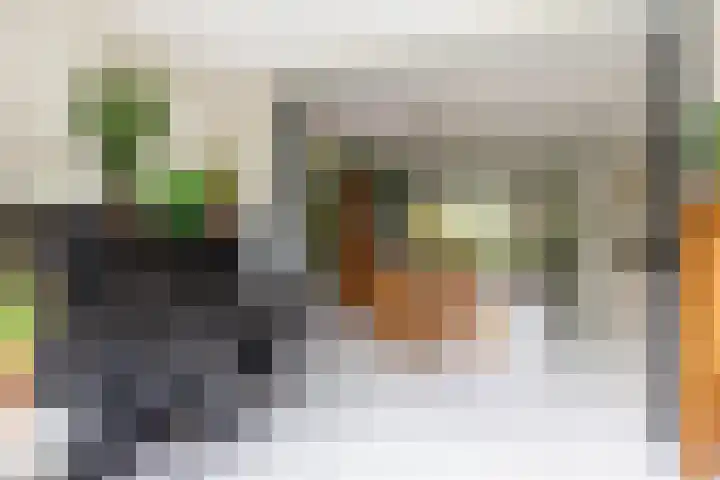 Schelfhoutstraat 5 Groningen thumbnail 8