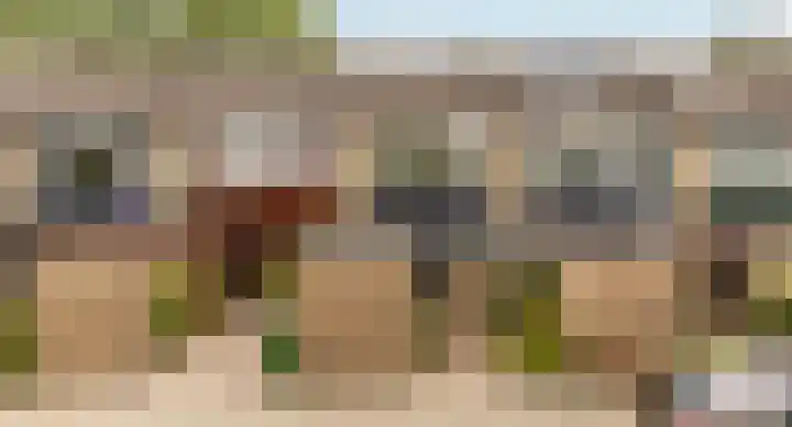 Schelfstraat 9 in 's-Gravendeel