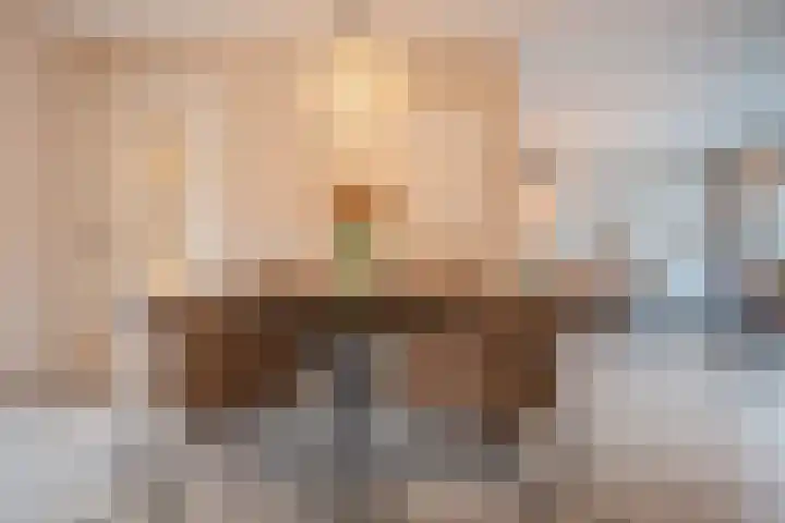 Schelft 7 Reusel thumbnail 11