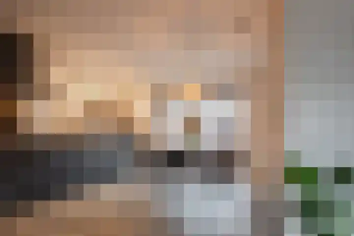 Schelft 7 Reusel thumbnail 12