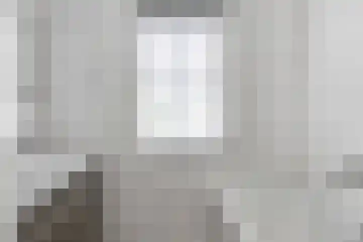 Schelft 7 Reusel thumbnail 14
