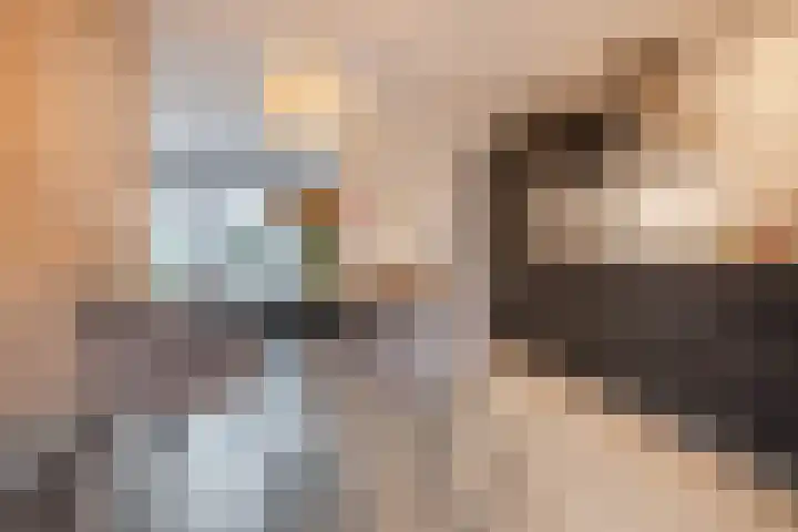 Schelft 7 Reusel thumbnail 14