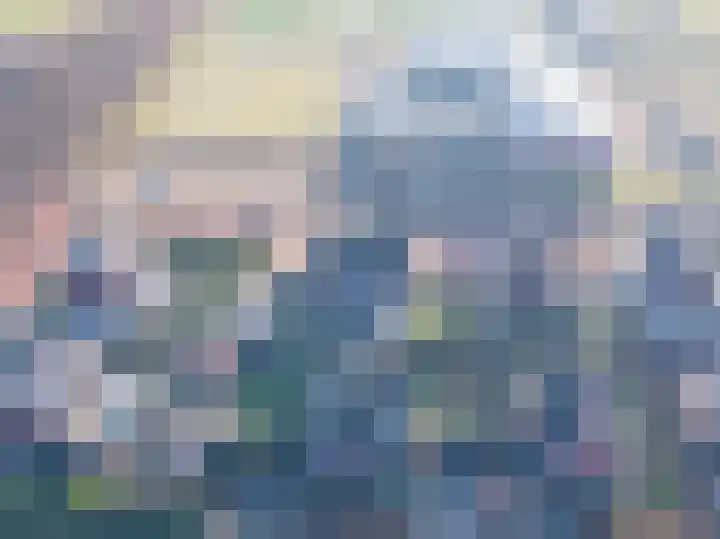 Schelft 7 Reusel thumbnail 15
