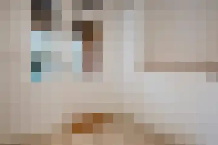 Schelft 7 Reusel thumbnail 21