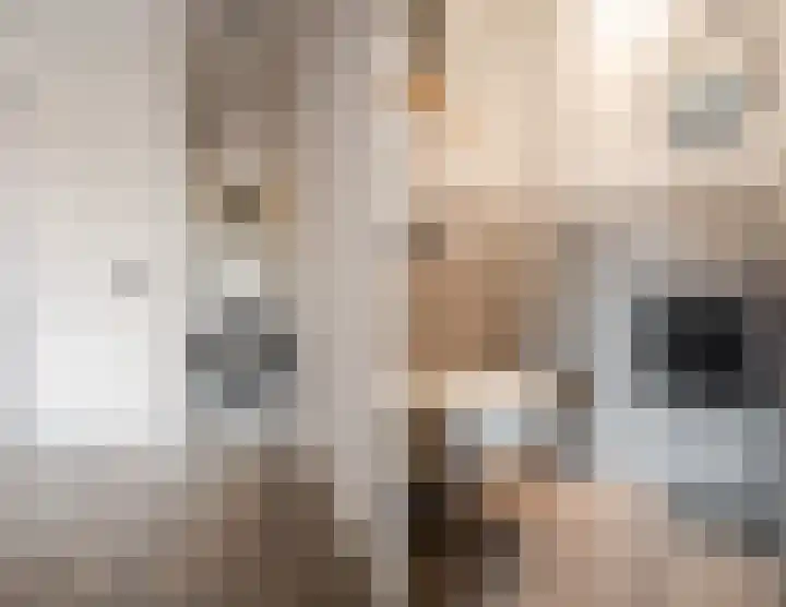 Schelft 7 Reusel thumbnail 22