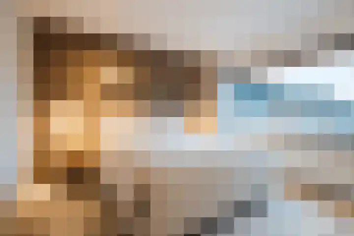 Schelft 7 Reusel thumbnail 25