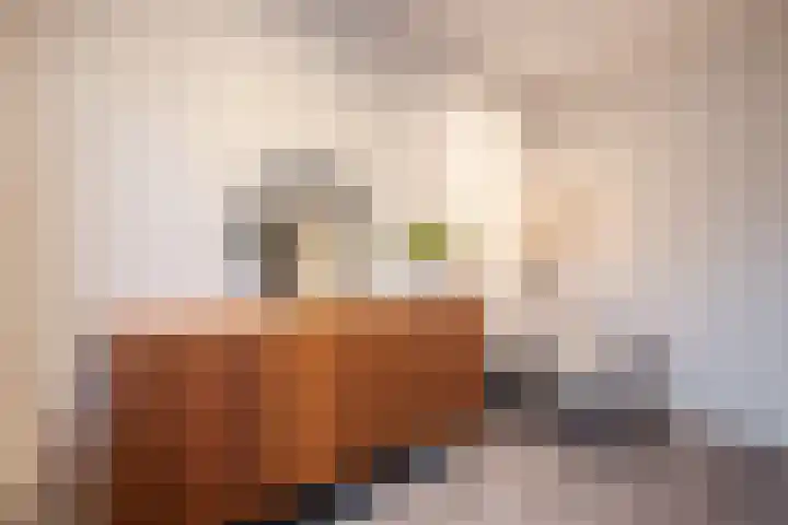 Schelft 7 Reusel thumbnail 30