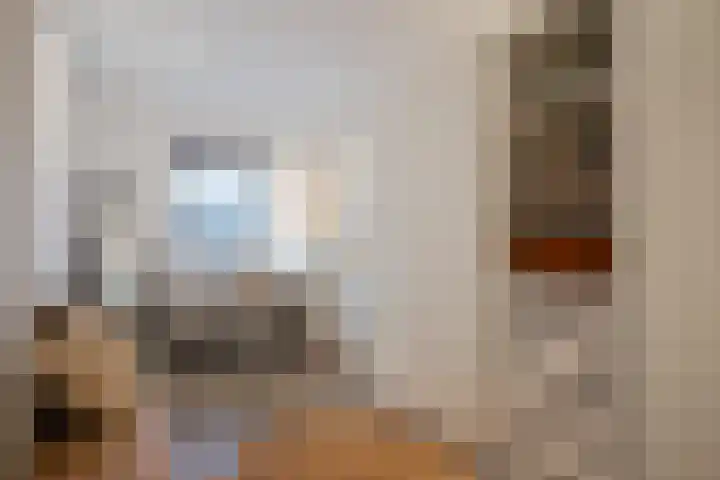 Schelft 7 Reusel thumbnail 31