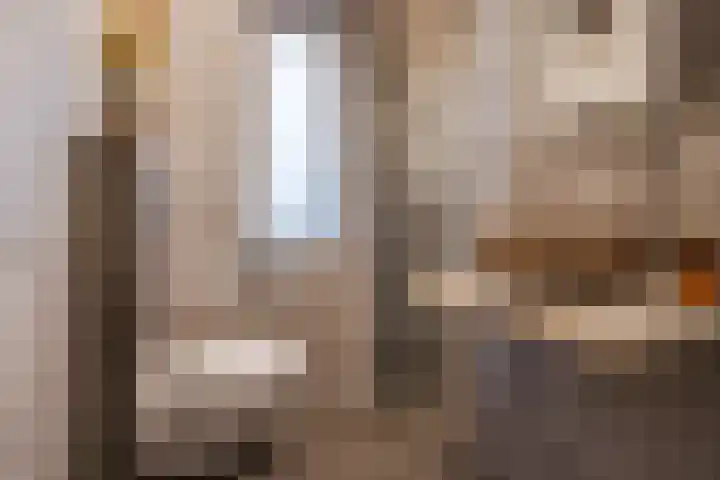 Schelft 7 Reusel thumbnail 33