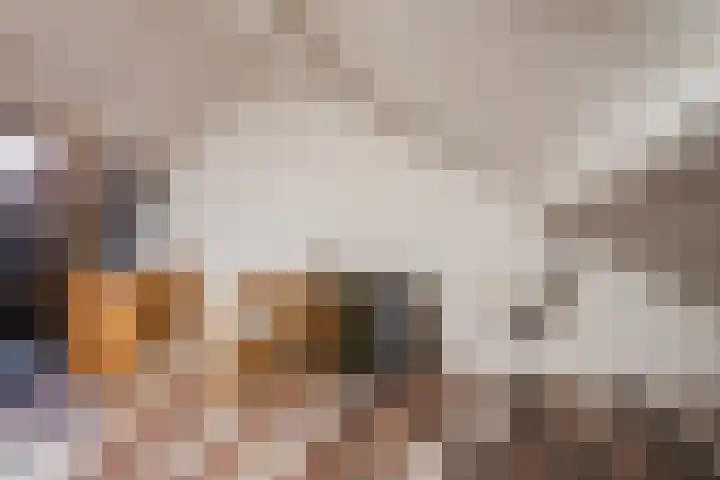 Schelft 7 Reusel thumbnail 37