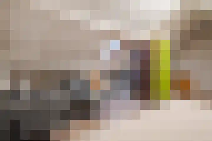 Schelft 7 Reusel thumbnail 40